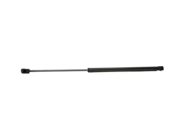 RIDEX 219G0359 Bonnet struts 1.0 12V (F08, F68) 60 hp Z 10 XEP
