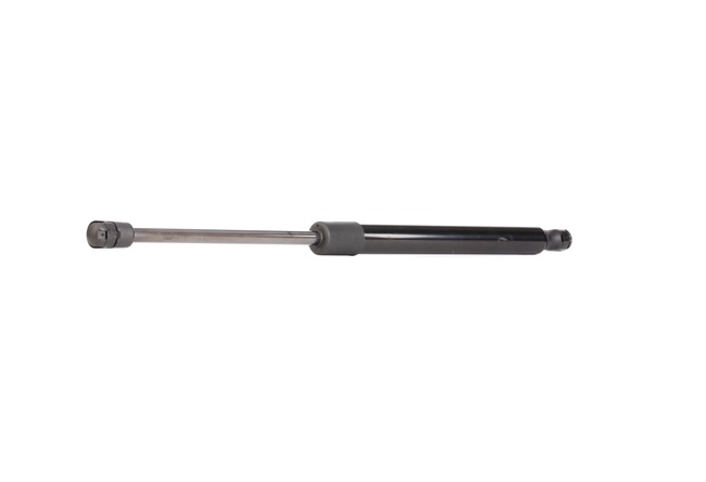RIDEX 219G0075 Stoßstange 1.6 Authentique Hi-Flex (BB26, BB3E, CB26) 115 PS K4M 736