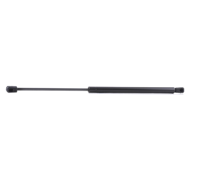 MINI RIDEX Pistoncini portellone 219G0100