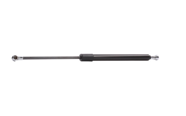 RIDEX 219G0106 Calotta specchietto 2.0 100 CV AAE