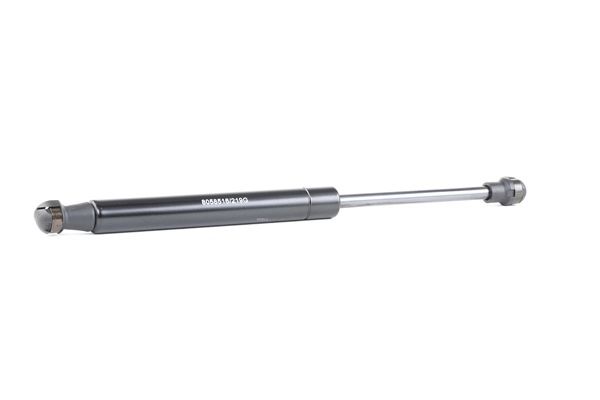 rendelés olcsó 219G0117 Gázrugó, csomag- / poggyásztér hátsó, kétoldali, 290mm ől RIDEX 60680087, 46428438, 464284380
