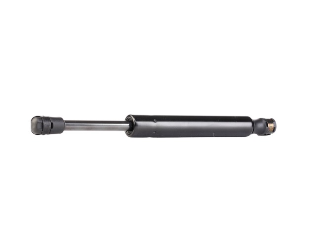 rendelés olcsó 219G0119 Gázrugó, csomag- / poggyásztér kétoldali, Hátsó ajtó, 252mm ől RIDEX 50508010, 60683933