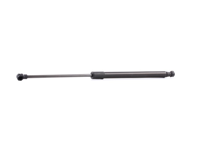 RIDEX 219G0346 Heckklappendämpfer Renault Clio 3 1.5 dCi 103PS 2009