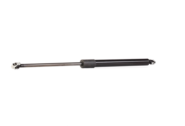 BMW RIDEX Heckklappendämpfer 219G0124