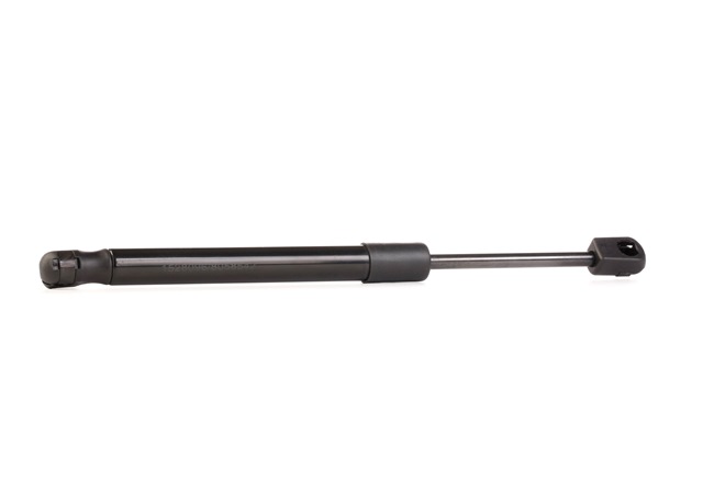 RIDEX 219G0138 Bakluke demper Audi A6 C6 2.7 TDI 180 hk BPP