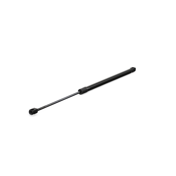 MITSUBISHI RIDEX Telescoape haion 219G0316