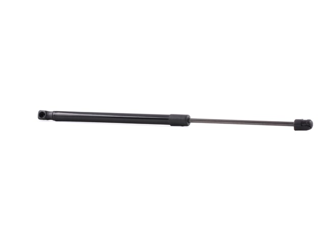 RIDEX 219G0188 Bagklapsdæmper Opel Signum CC 1.9 CDTI (F48) 100 HK Z 19 DTL