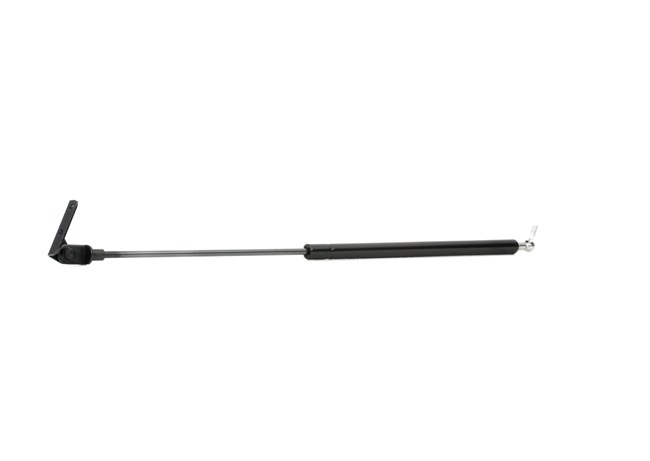 RIDEX 219G0304 Tercera luz de freno 1.3 68 cv G13BA