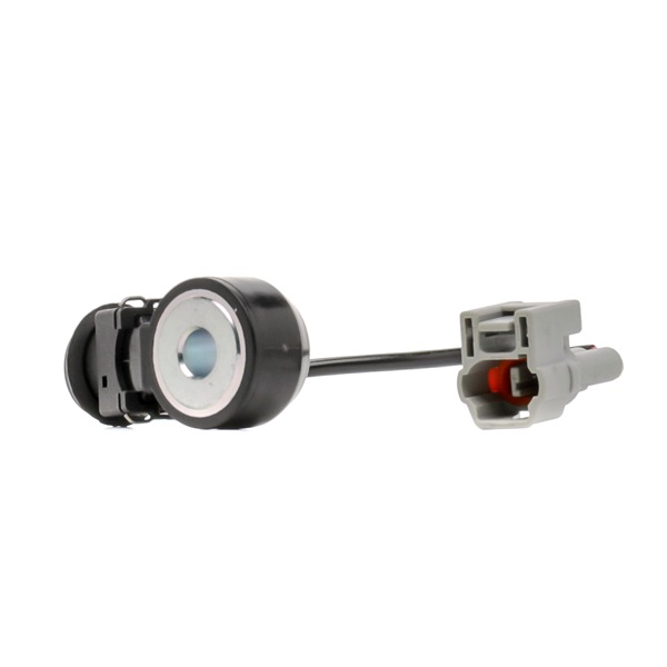 RIDEX 3921K0004 Gløderør 2.0 AWD (BP5) 138 HK EJ202