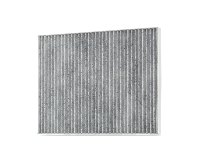 RIDEX 424I0201 Filtro de ar desportivo 2.0 (F35, M35, P35) 122 cv XF 20 E