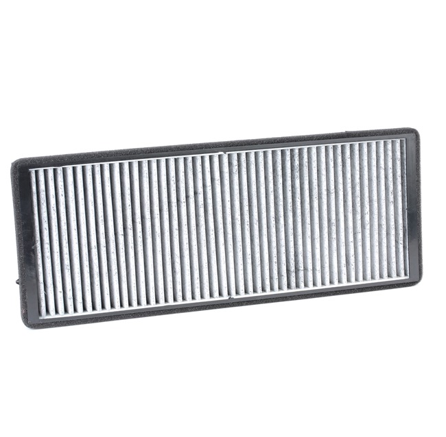 RIDEX 424I0209 Filtro do habitáculo Renault Espace 4 2.0 dCi (JK03, JK04, JK1C, JK1G, JK1J, JK1K) 173 cv M9R 812