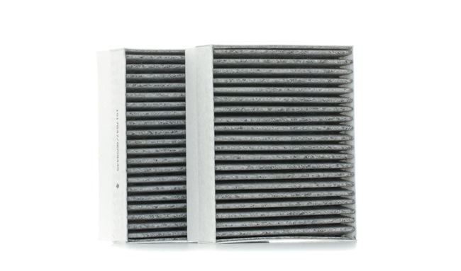 DAIHATSU RIDEX Pollenfilter 424I0328