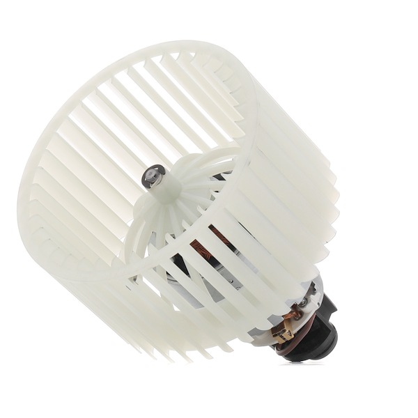 RIDEX 2669I0008 Ventola abitacolo Audi 100 C4 Avant S4 4.2 V8 quattro 280 CV ABH