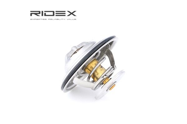 RIDEX 316T0012 Radiatorlokk 3.2 250 hk M02.2Y