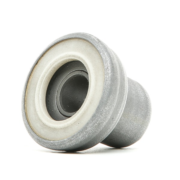 RIDEX 251T0031 Differensial 1.8 68 hk AP