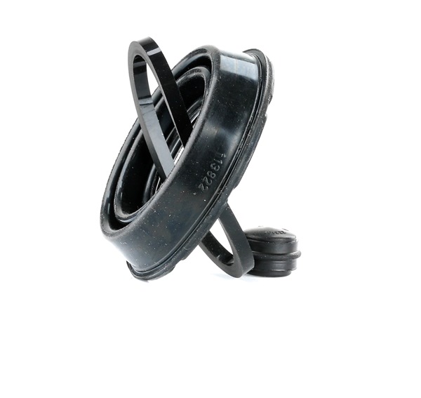 BUDWEG CALIPER 183850 ABS ring 1.8 TDCi 115 Pk KKDB
