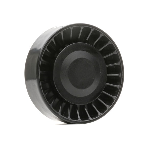 RIDEX 312D0007 Polia de desvio VW T4 Transporter 2.5 TDI 88 cv AYY