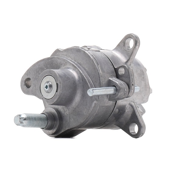 541V0008 Galet tendeur de courroie d'accessoire RIDEX Mercedes-Benz prix