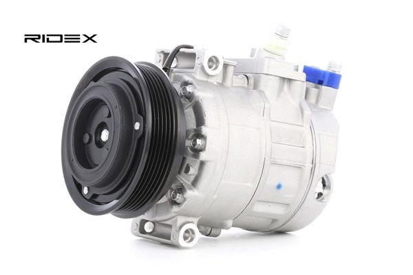 RIDEX 447K0022 Klimakompressor Passat 3B5 2.8 V6 180 PS