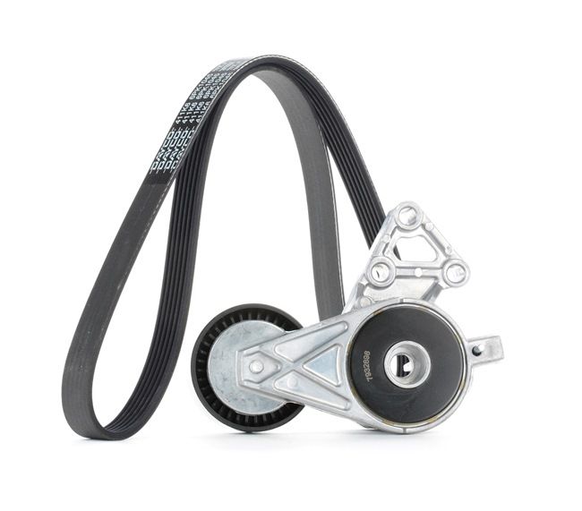 VW STARK Poly V Riemen Kit SKRBS-1200044