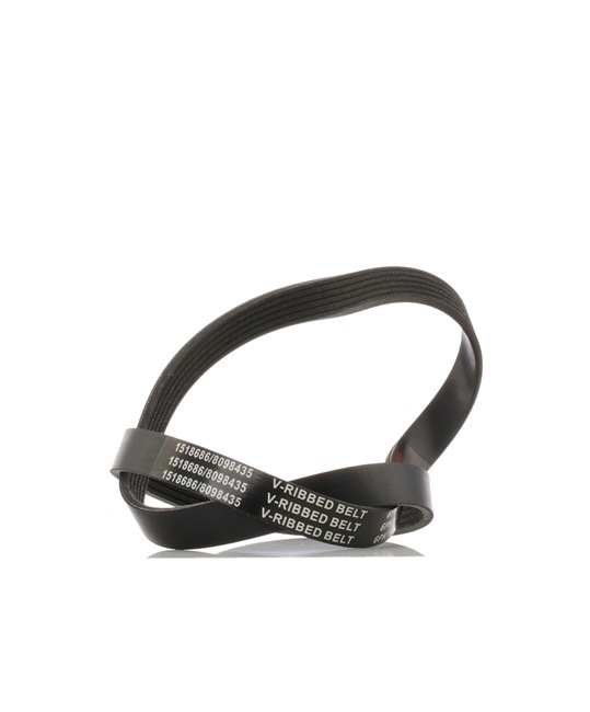 RIDEX Rippenriemen 1123mm, Rippenanzahl: 6 bestellen Sie online bei Motordoctor.at