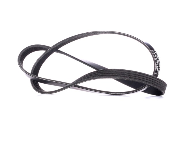 RIDEX 305P0039 Multiriem Passat 3B6 1.8 4motion 170 Pk AWM