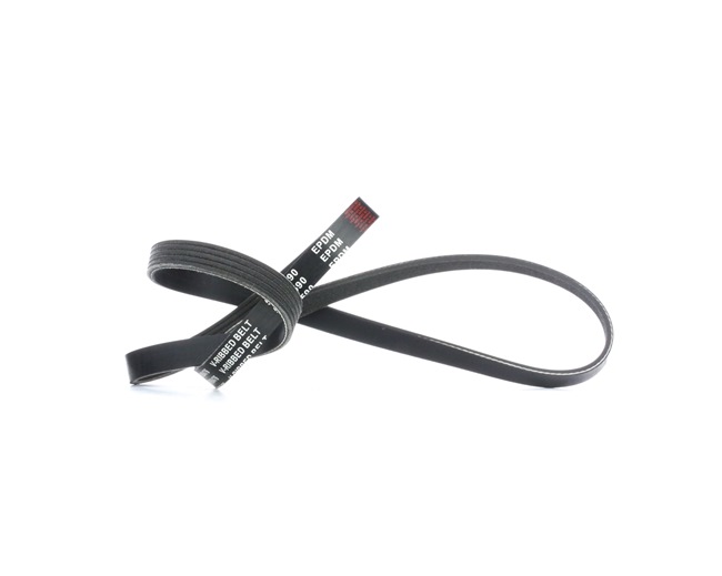αγορά φθηνά 305P0042 Ιμάντας poly-V 1590mm, Πλήθος ραβδώσεων: 5 από RIDEX
