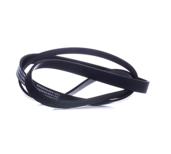 RIDEX 305P0072 Multiriem VW Bora 1j2 1.4 16V 75 Pk AKQ