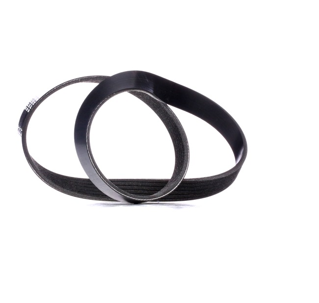 DS RIDEX Ιμάντας poly-v 305P0049