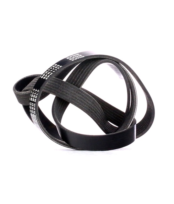 Comprar baratas 305P0171 Correia de acessórios 1725mm, Número de nervuras: 6 de RIDEX 1340613, 1340620, 1340613, 1340620