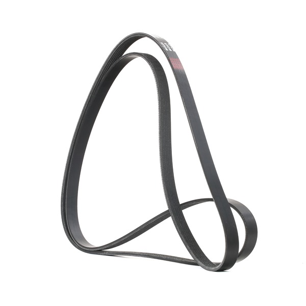 Comprar baratas 305P0100 Correia de acessórios 2255mm, Número de nervuras: 6 de RIDEX 0019938696, 0089971892, 0089977092