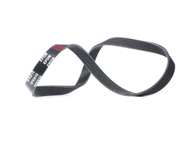 rendelés olcsó 305P0024 Hosszbordás szíj 810mm, Bordák száma: 5 ől RIDEX 64552247425, 64557786170, 3032228
