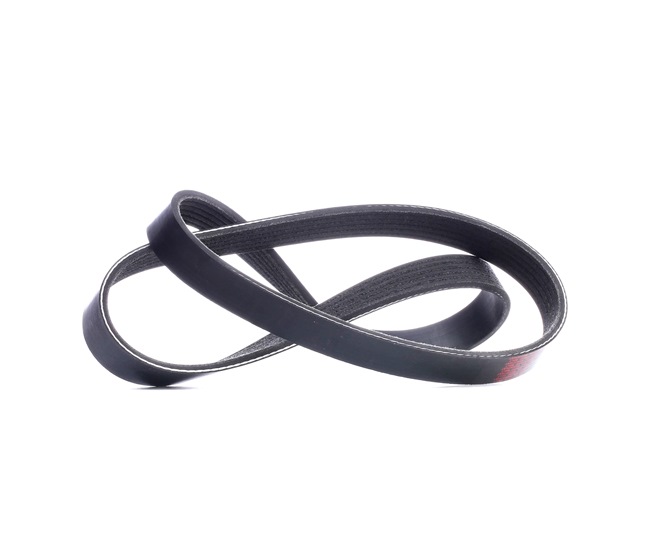 Koop 305P0053 Multi-V-riem 1033mm, Ribbenaantal: 6 van RIDEX goedkope