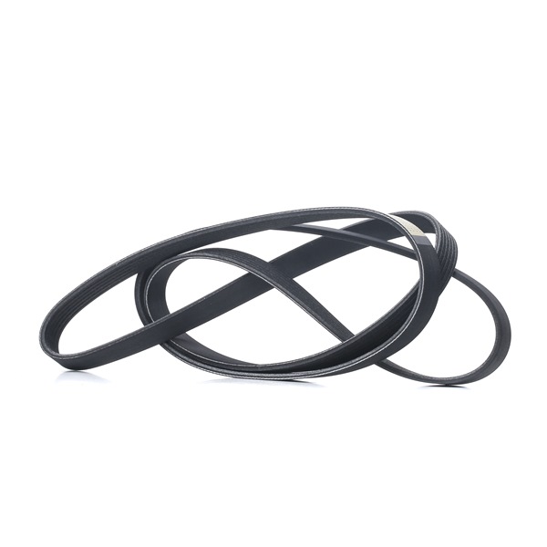 RIDEX 305P0096 Multiriem Ford Transit Connect mk1 1.8 16V 116 PK
