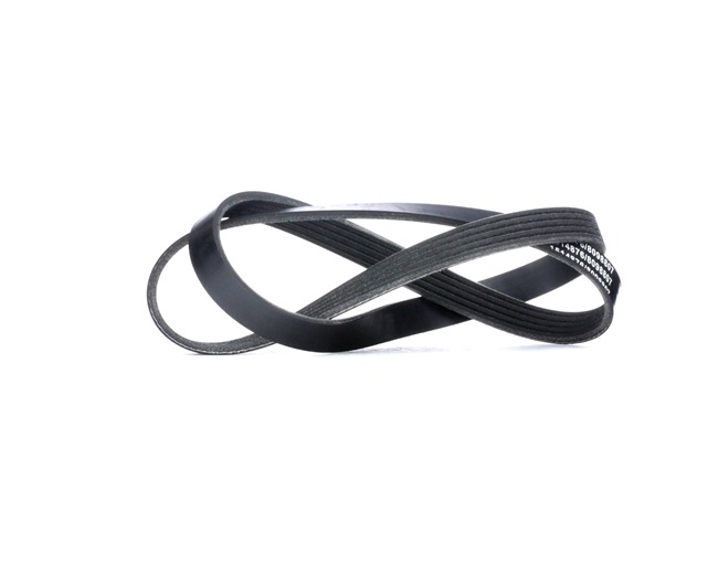 Köp billigt 305P0212 Generatorrem 1133mm, Ribbantal: 5 från RIDEX 07L903137E