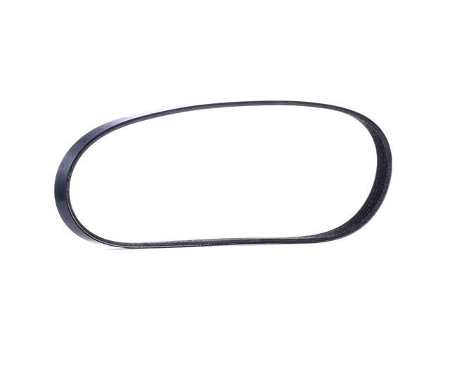 305P0025 Multirem 838mm, Rippenanzahl: 5 fra RIDEX kob billige