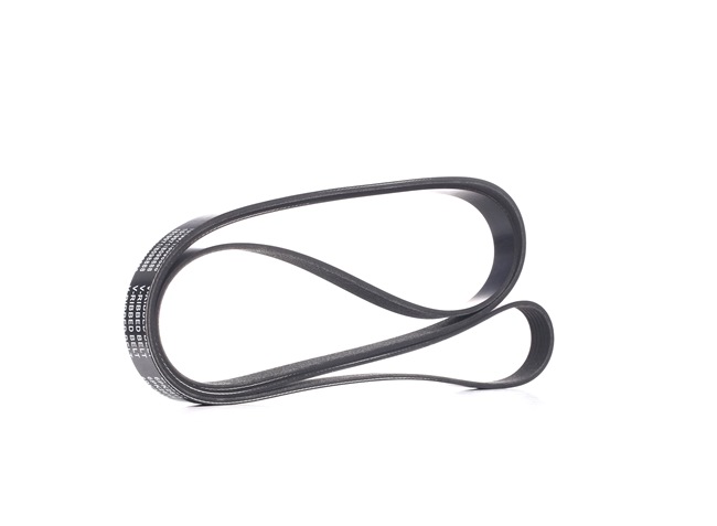RIDEX 305P0225 Cinghia servizi Audi 100 C4 S4 4.2 V8 quattro 280 CV ABH