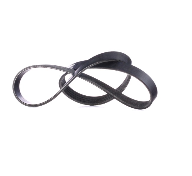 αγορά φθηνά 305P0176 Ιμάντας poly-V 1025mm, Πλήθος ραβδώσεων: 5 από RIDEX 11287507626, 1028279, 1095321