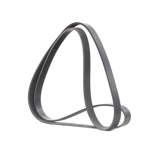 RIDEX 305P0157 Serpentine belt Ford Transit MK5 2.0 114 hp NSG
