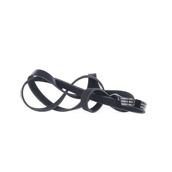 SSANGYONG RIDEX Correa de servicio 305P0180