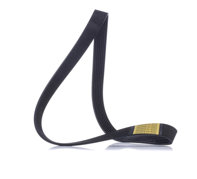 RIDEX 305P0186 Ιμάντας poly-V Fiat Ducato 250 2.3 D 150 Multijet 148 PS F1AE3481E
