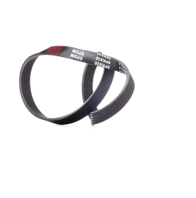 RIDEX 305P0197 Correia do alternador Opel Omega B Caravan 2.5 DTI (F35, M35, P35) 150 cv Y 25 DT