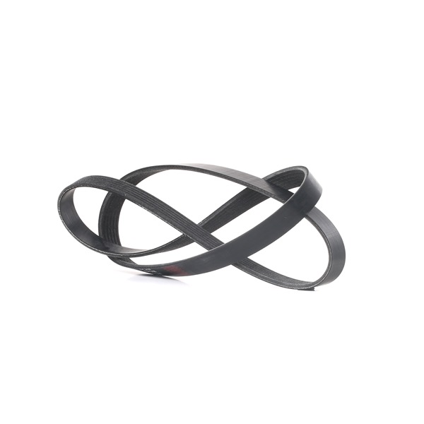 RIDEX 305P0190 Serpentine belt FORD Transit Mk7 Platform / Chassis (V363) 2.0 EcoBlue 4x4 130 hp YMR6
