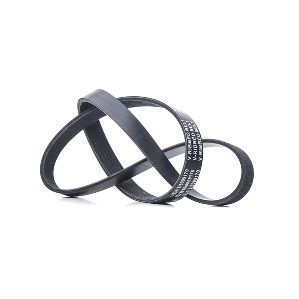 RIDEX 305P0334 Cinghia servizi BMW F34 330 i 252 CV B48 B20 B