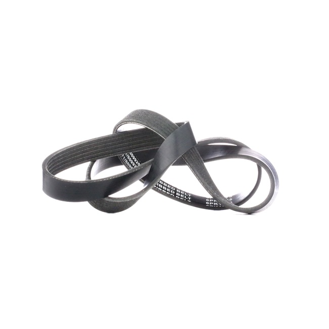 RIDEX 305P0231 Ιμάντας poly-V Fiat Stilo 192 Hatchback 1.9 JTD 80 PS 192 A3.000