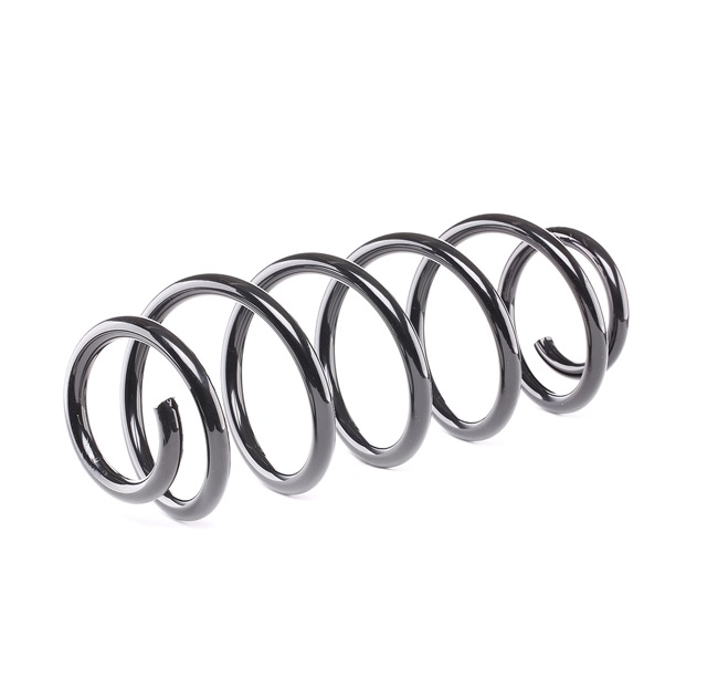 RIDEX 188C0008 Rugó Passat 3B5 1.9 TDI Syncro/4motion 110 PS AVG