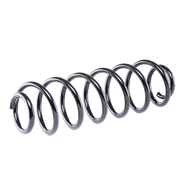 RIDEX 188C0016 Jousi Skoda Octavia 1u 1.6 75 hv AEE
