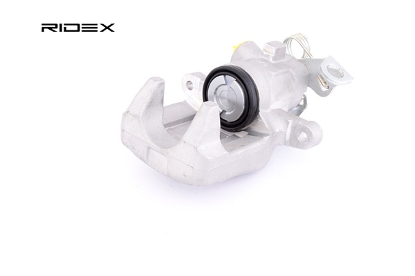 DS RIDEX Remtangen 78B0096