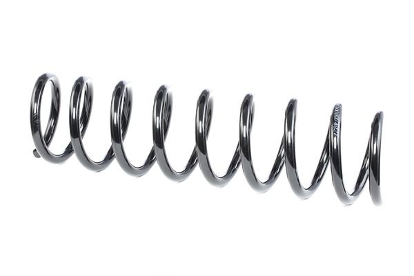 RIDEX 188C0015 Fjedre BMW E39 540 i 286 HK M62 B44 (448S2)