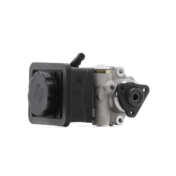RIDEX 12H0022 Pompa idroguida BMW E46 330xi 3.0 231 CV M54 B30 (306S3)